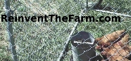   On the Farm